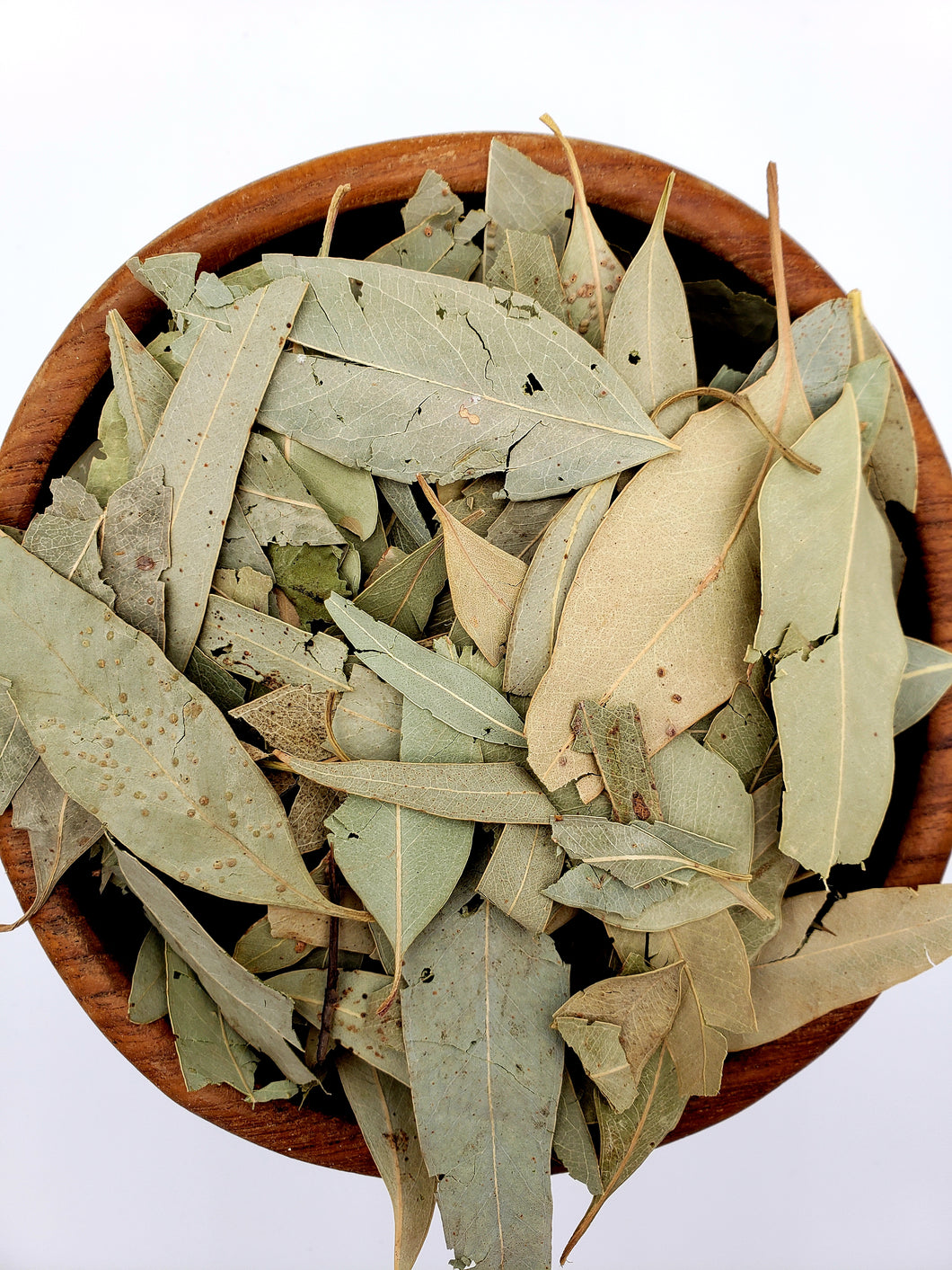 All Natural Dried Eucalyptus Leaves